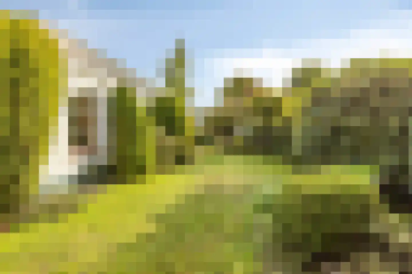 Hogendriesplein 6 Moergestel thumbnail 31