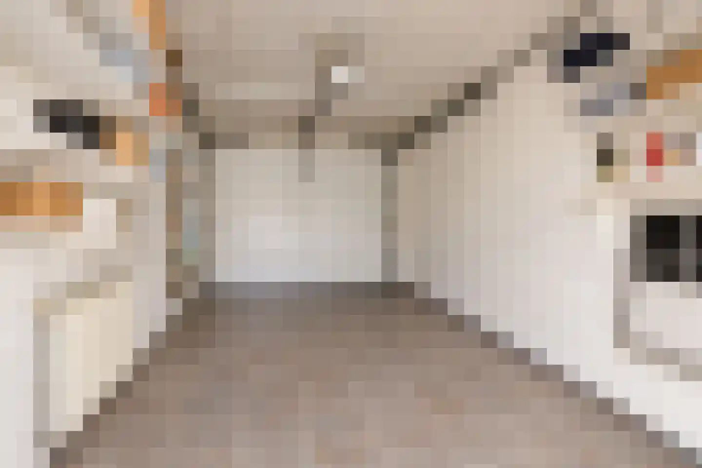 Hogendriesplein 6 Moergestel thumbnail 35