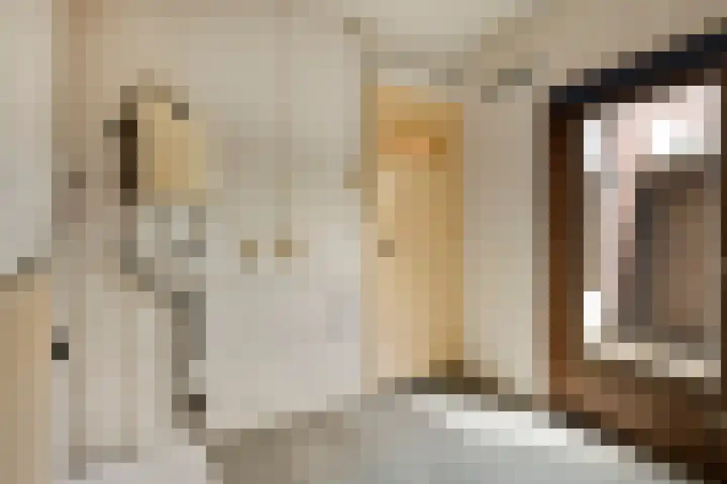 Hogendriesstraat 1 Tilburg thumbnail 11