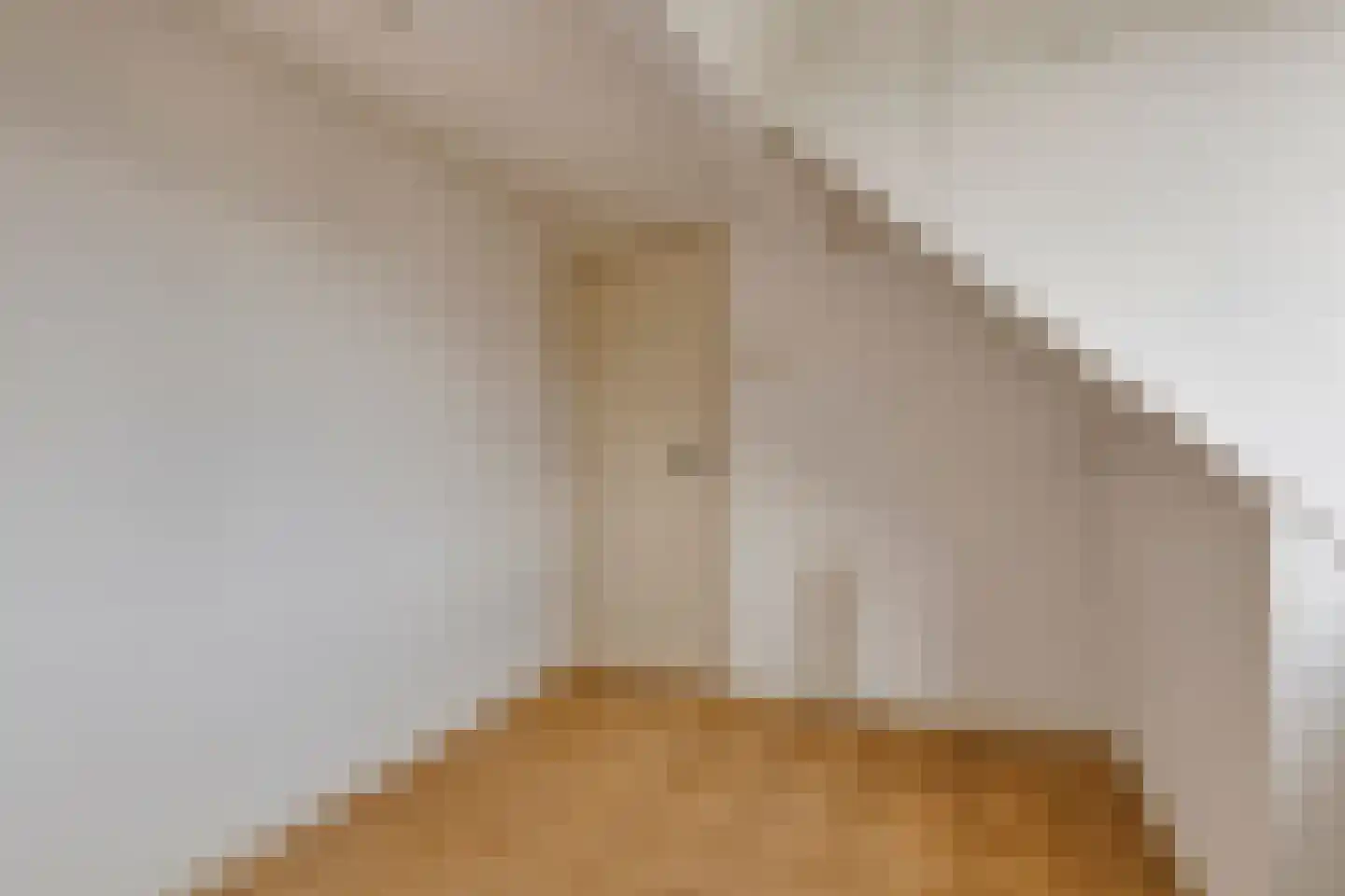 Hogendriesstraat 1 Tilburg thumbnail 34