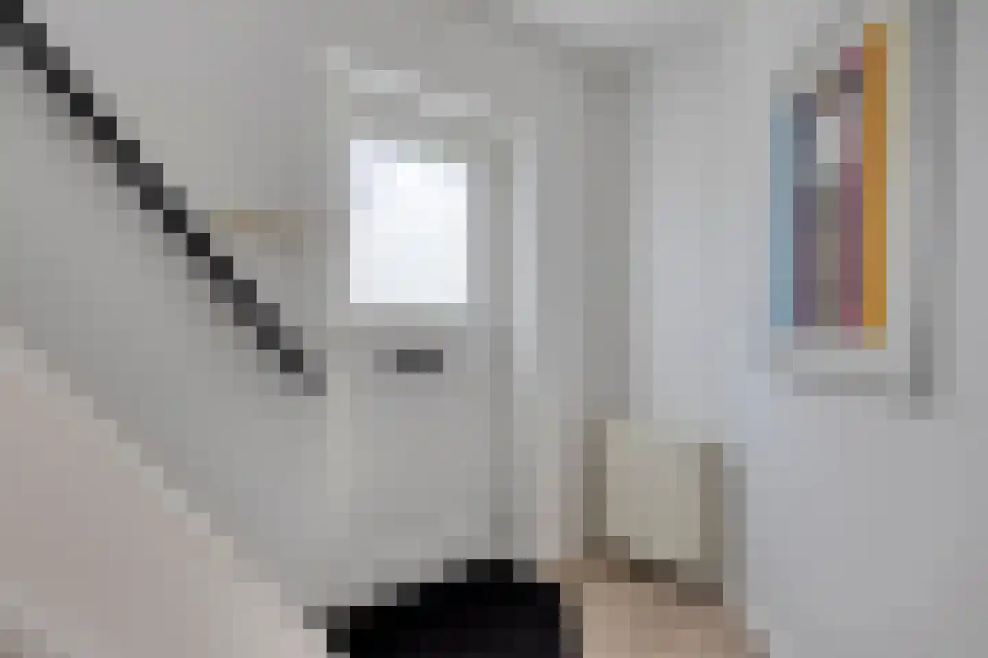 Hogendriesstraat 20 Tilburg thumbnail 22