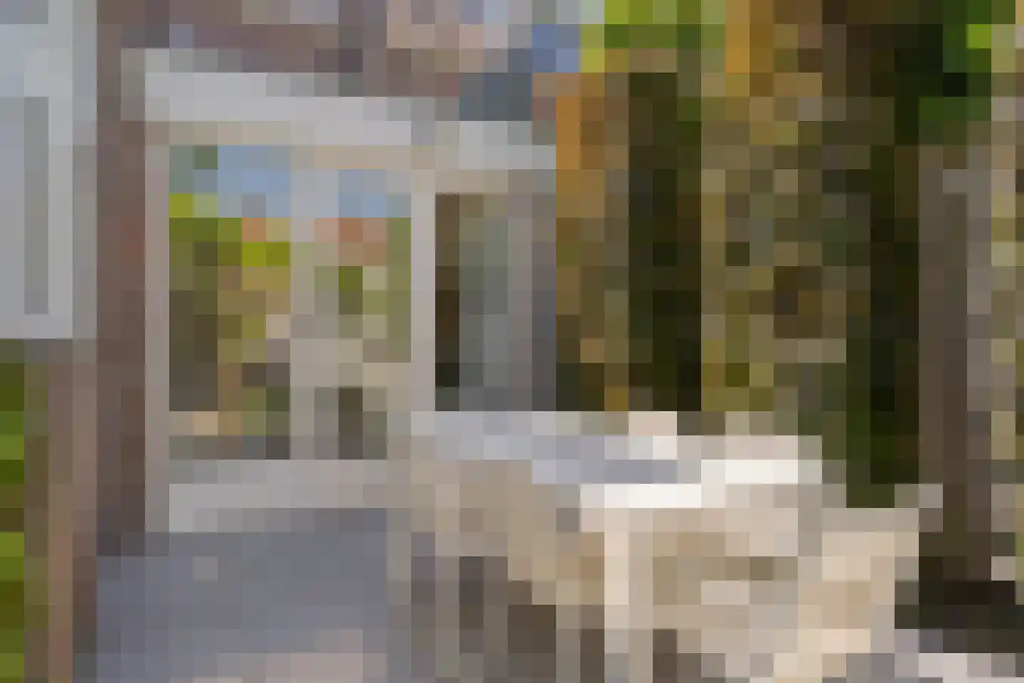 Hogendriesstraat 20 Tilburg thumbnail 31