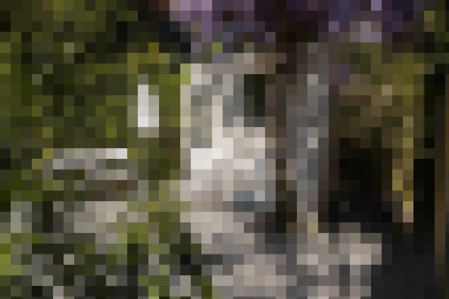 Hogendriesstraat 20 Tilburg thumbnail 31