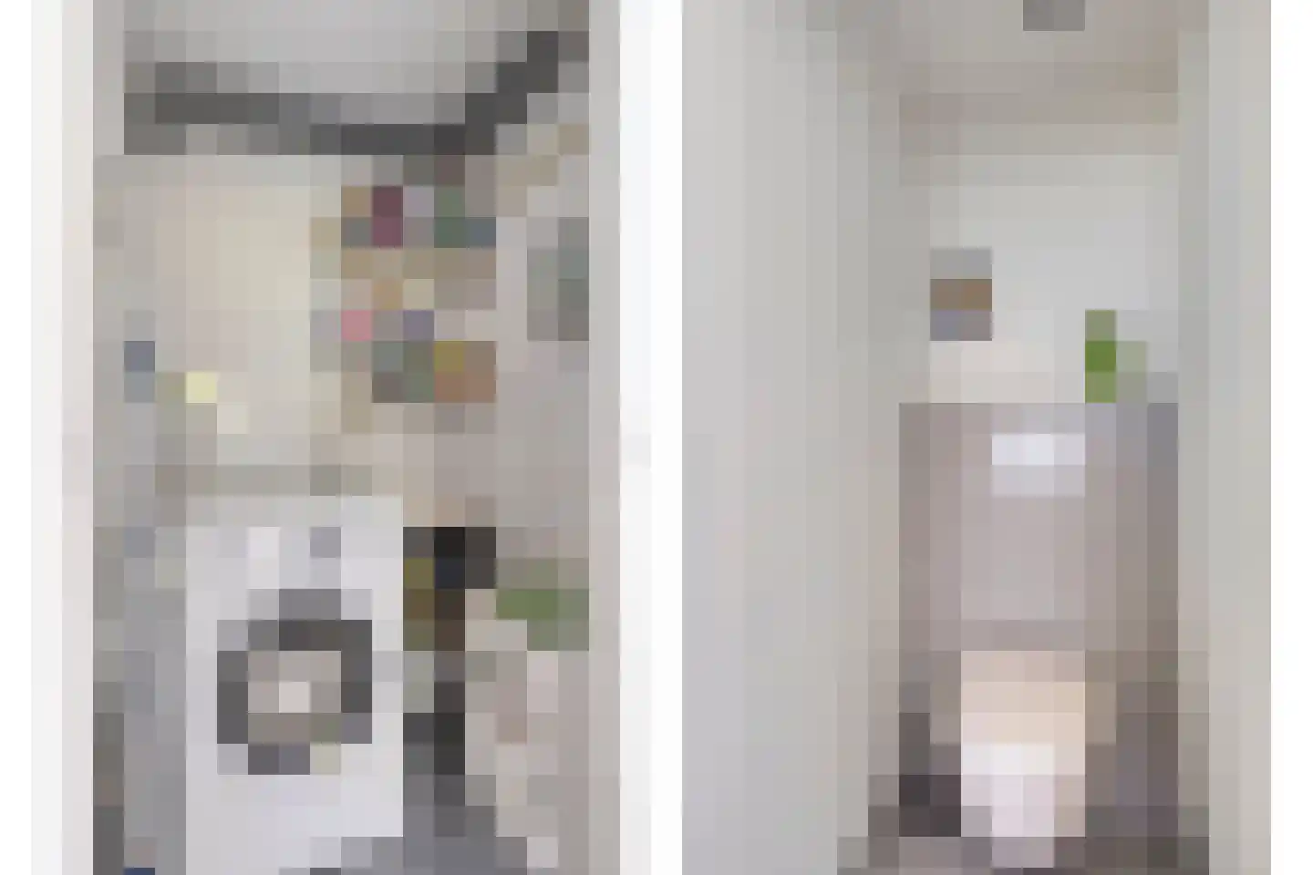 Hogendriesstraat 20 Tilburg thumbnail 40