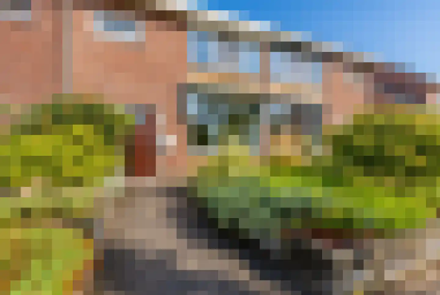 Hogenendseweg 68 Didam thumbnail 13