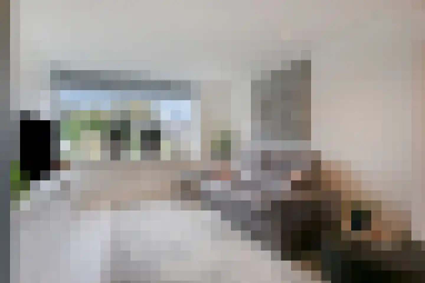 Hogenendseweg 68 Didam thumbnail 20