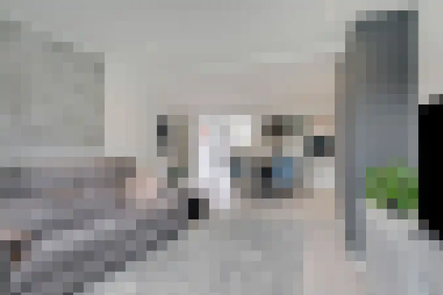 Hogenendseweg 68 Didam thumbnail 22