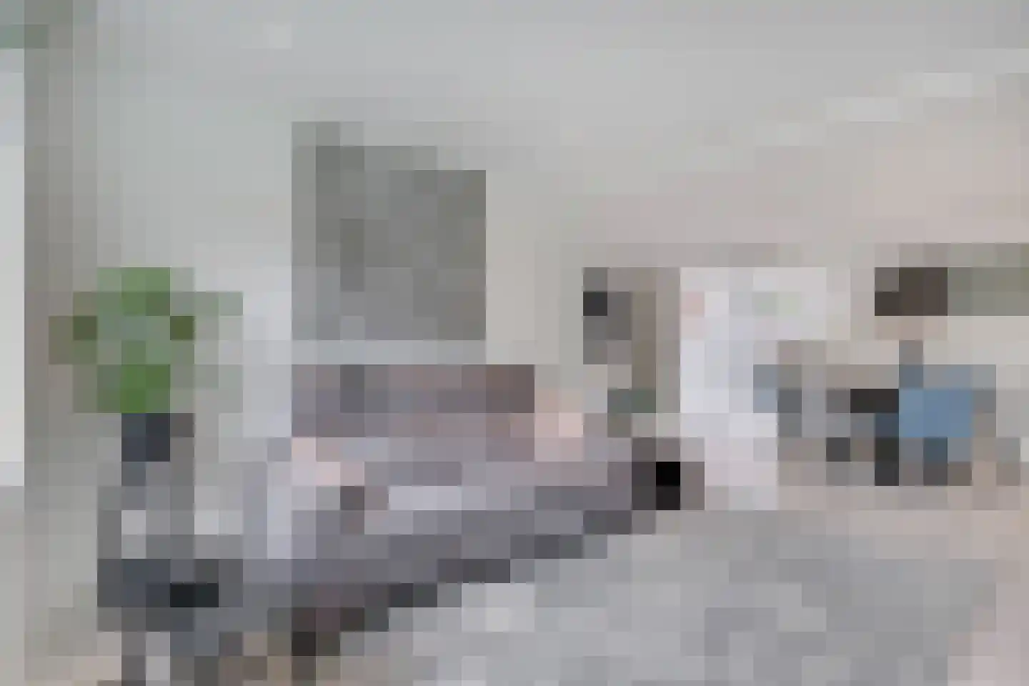 Hogenendseweg 68 Didam thumbnail 23