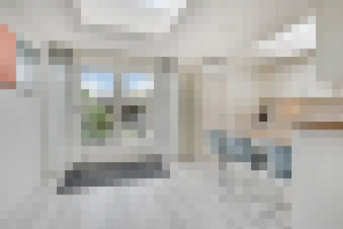 Hogenendseweg 68 Didam thumbnail 27