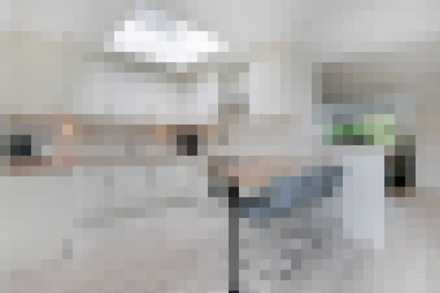 Hogenendseweg 68 Didam thumbnail 30