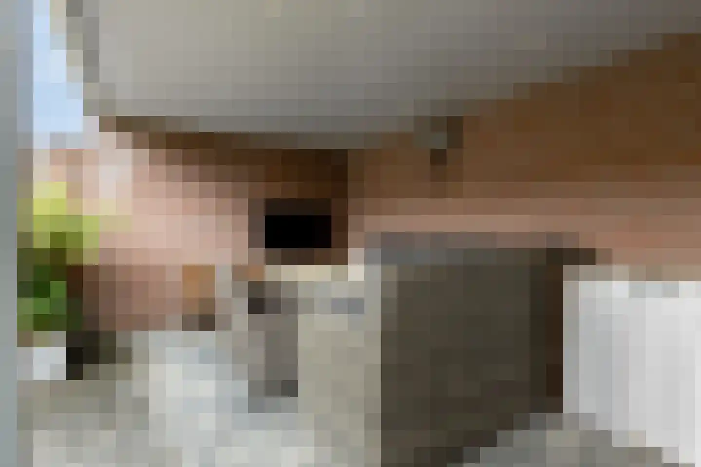 Hogenendseweg 68 Didam thumbnail 43