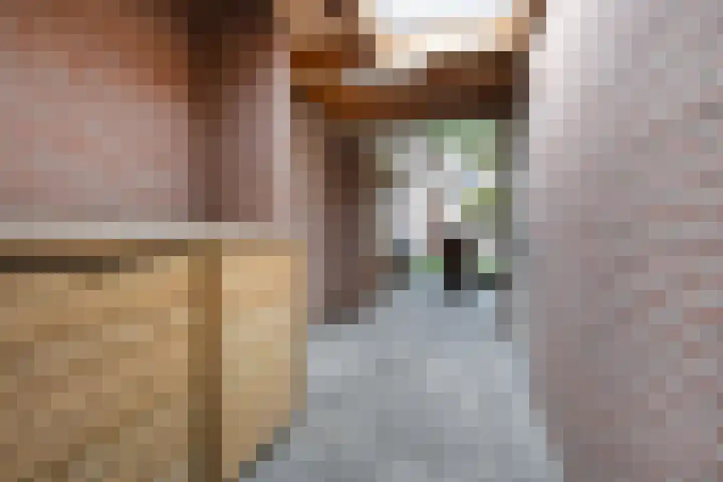 Hogenendseweg 68 Didam thumbnail 50