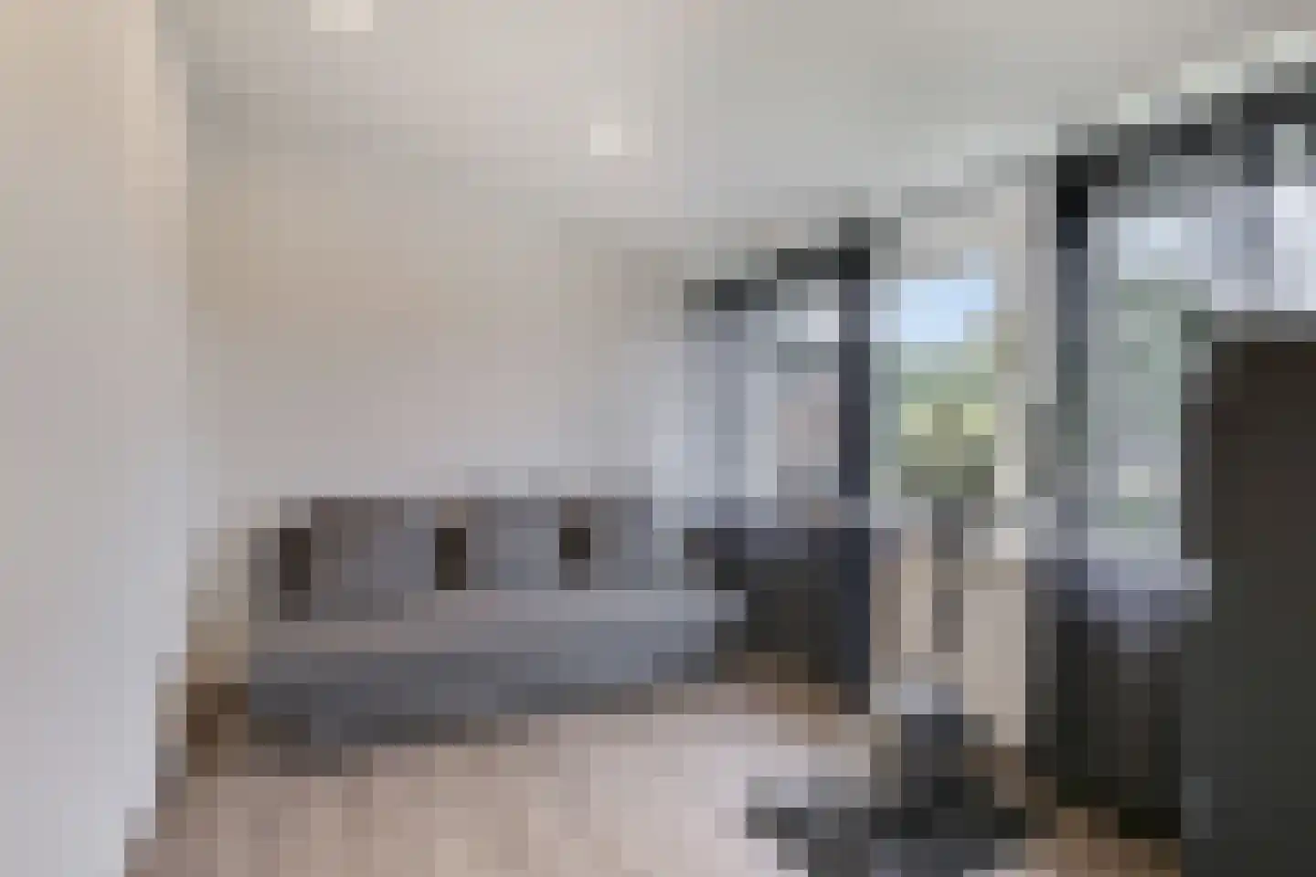 Hogenendseweg 68 Didam thumbnail 58