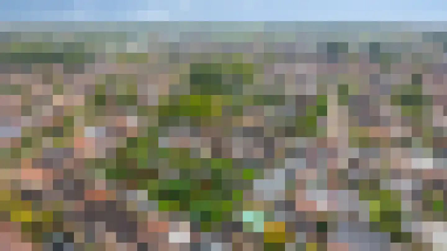 Hogenendseweg 68 Didam thumbnail 6