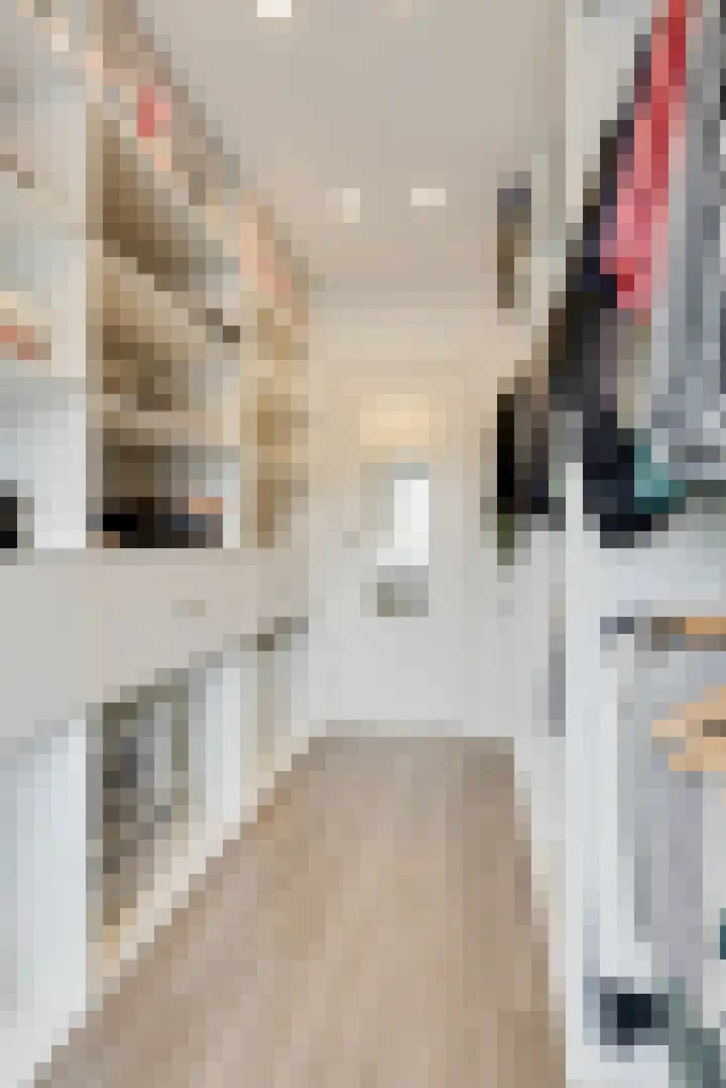 Hogenendseweg 68 Didam thumbnail 62