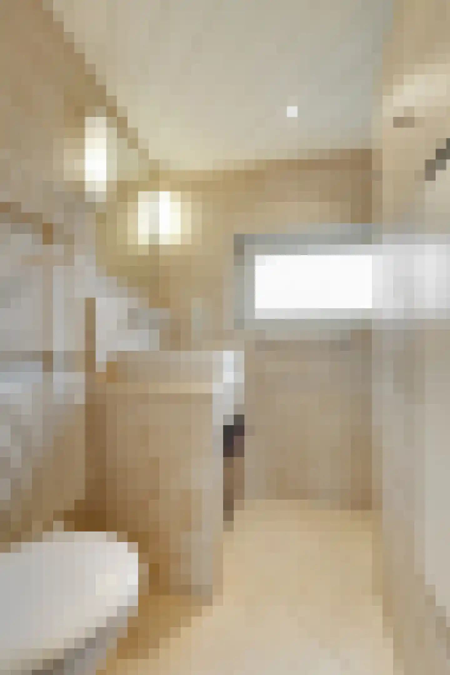 Hogenendseweg 68 Didam thumbnail 63