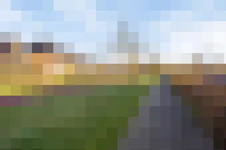 Hogenhof 14 Losser thumbnail 38