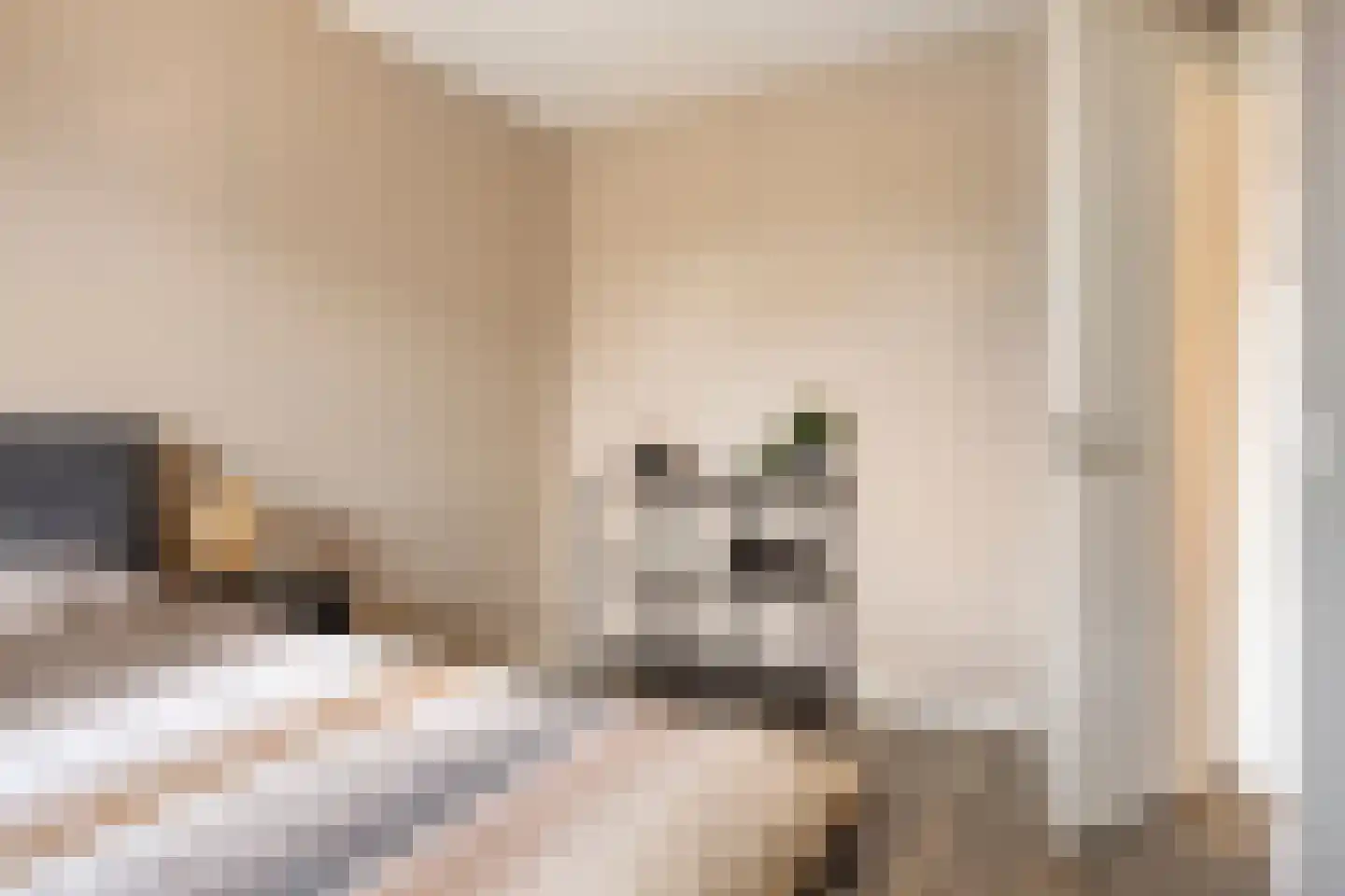 Hogenhof 16 Losser thumbnail 21