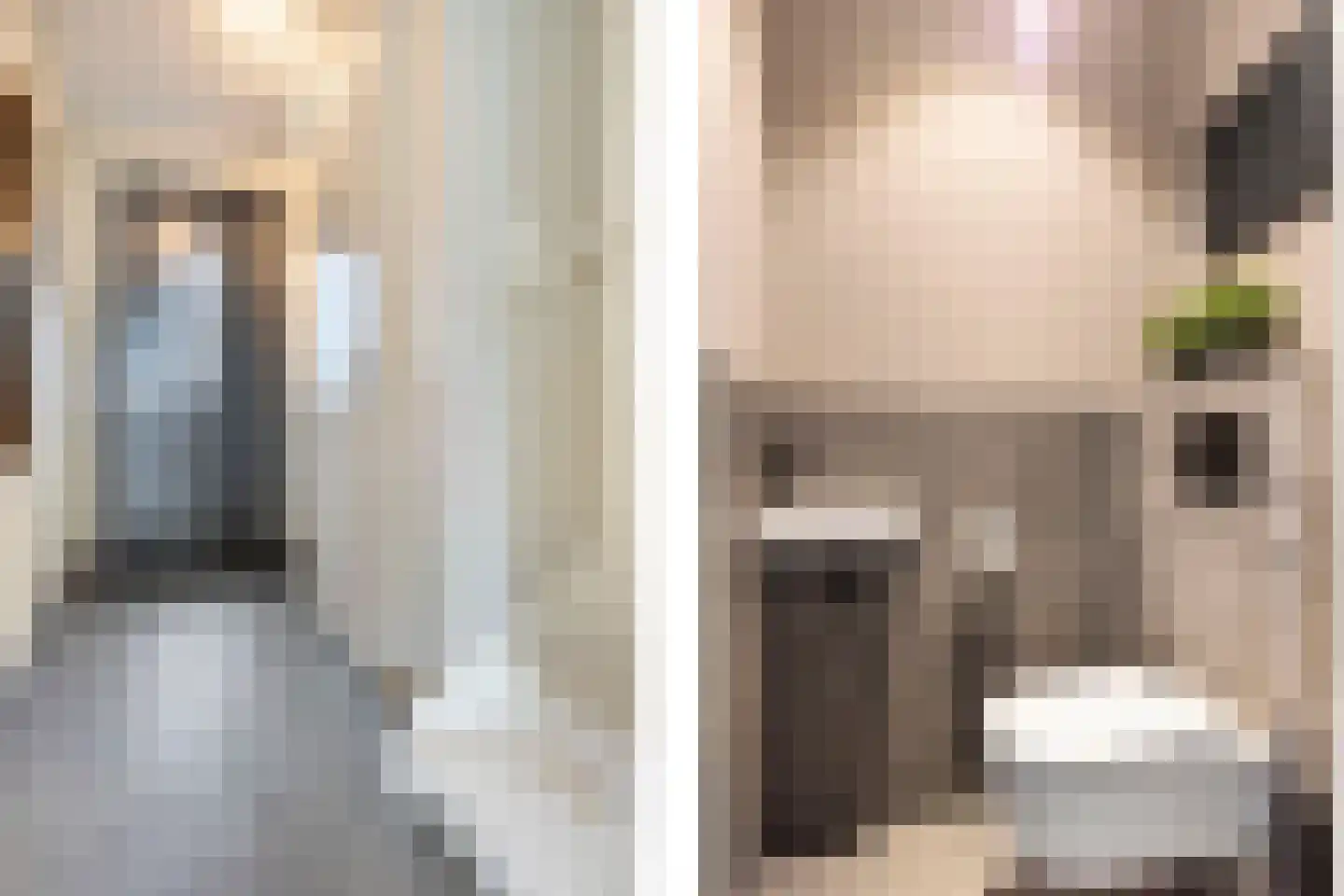 Hogenhof 16 Losser thumbnail 8