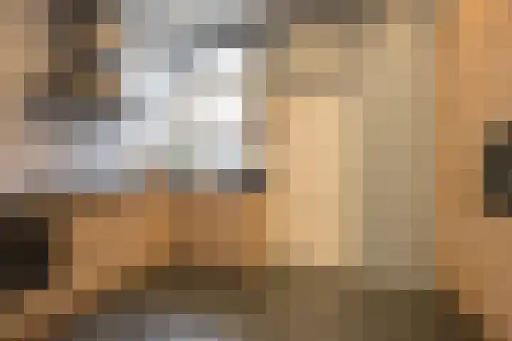 Hogenhof 16 Nijkerk thumbnail 18