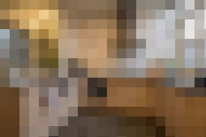 Hogenhof 16 Nijkerk thumbnail 19