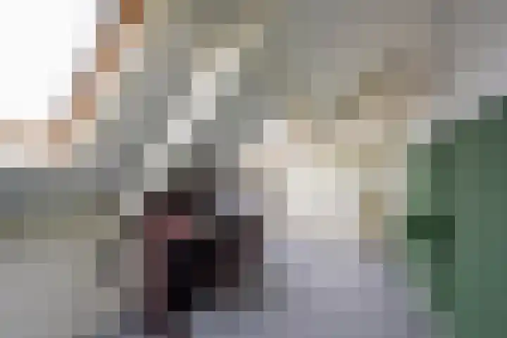 Hogenhof 16 Nijkerk thumbnail 38