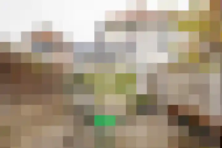 Hogenhof 16 Nijkerk thumbnail 4