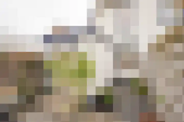 Hogenhof 16 Nijkerk thumbnail 5