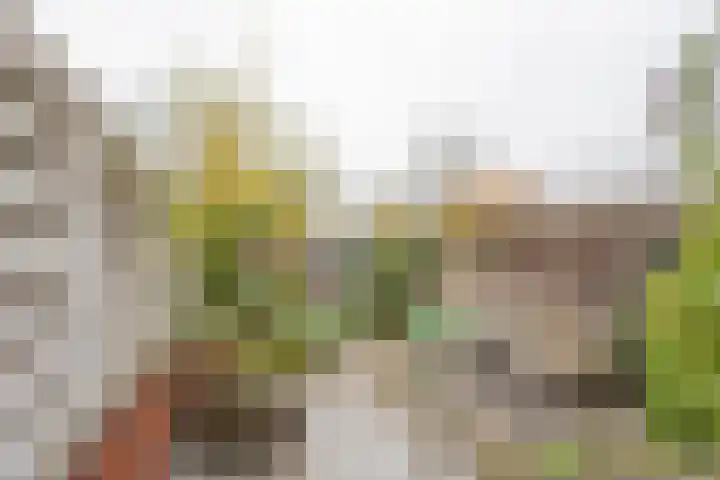 Hogenhof 16 Nijkerk thumbnail 6