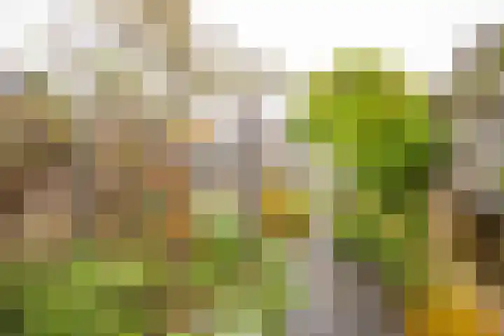 Hogenhof 16 Nijkerk thumbnail 8