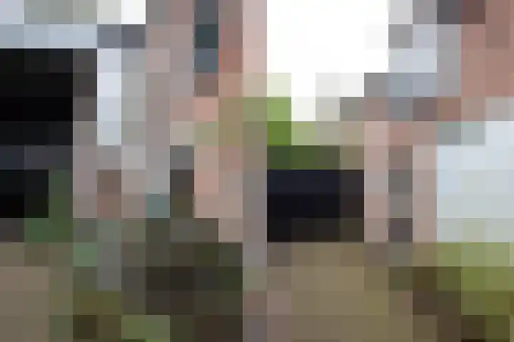 Hogenhof 20 Nijkerk thumbnail 17