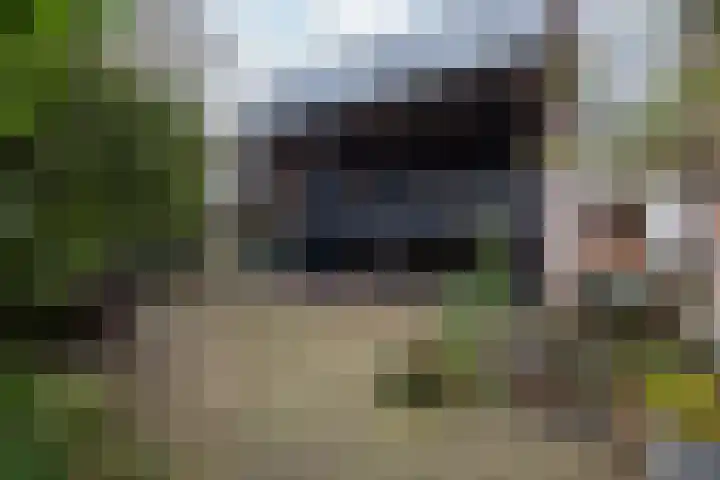 Hogenhof 20 Nijkerk thumbnail 47