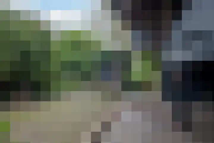 Hogenhof 20 Nijkerk thumbnail 48