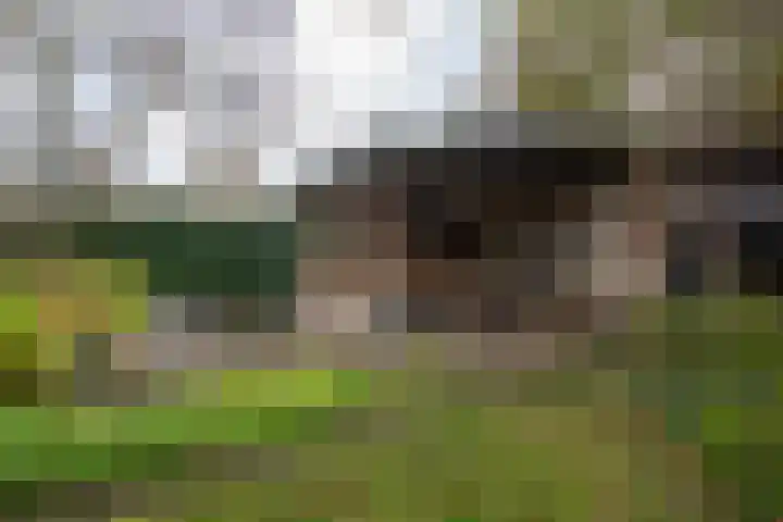 Hogenhof 20 Nijkerk thumbnail 49