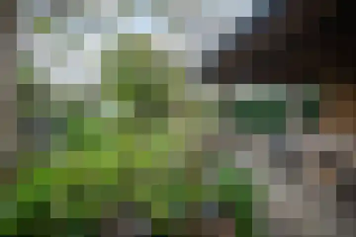 Hogenhof 20 Nijkerk thumbnail 51
