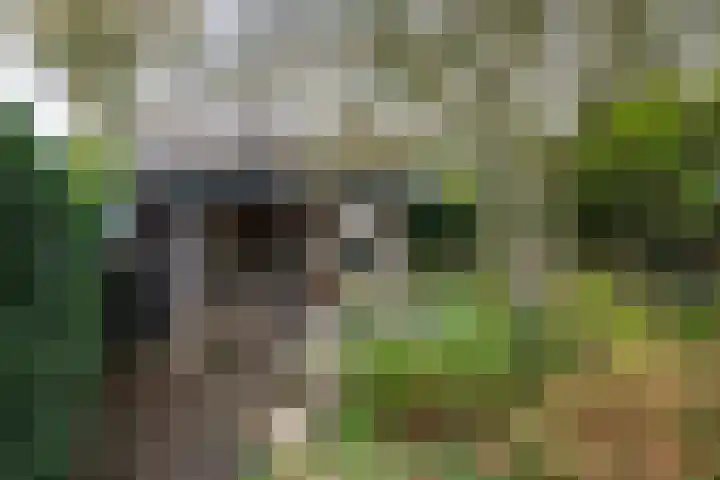 Hogenhof 20 Nijkerk thumbnail 52