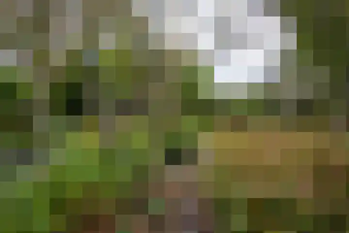 Hogenhof 20 Nijkerk thumbnail 53