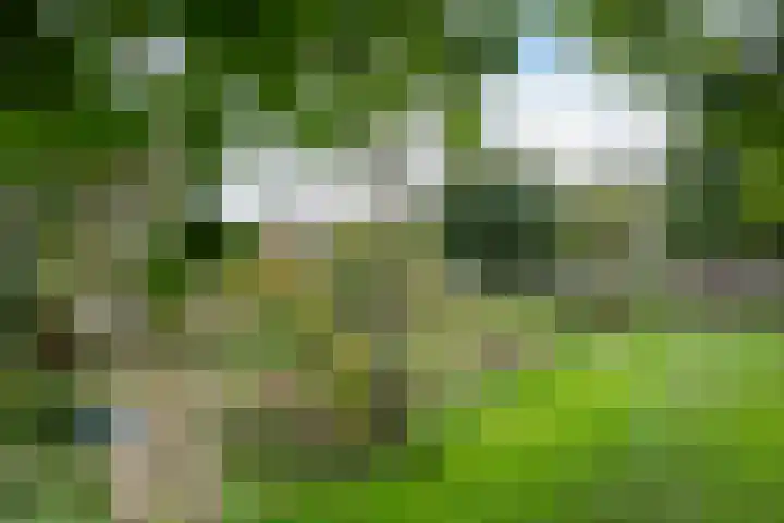 Hogenhof 20 Nijkerk thumbnail 54