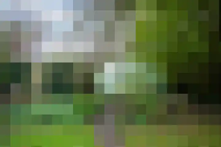 Hogenhof 20 Nijkerk thumbnail 56
