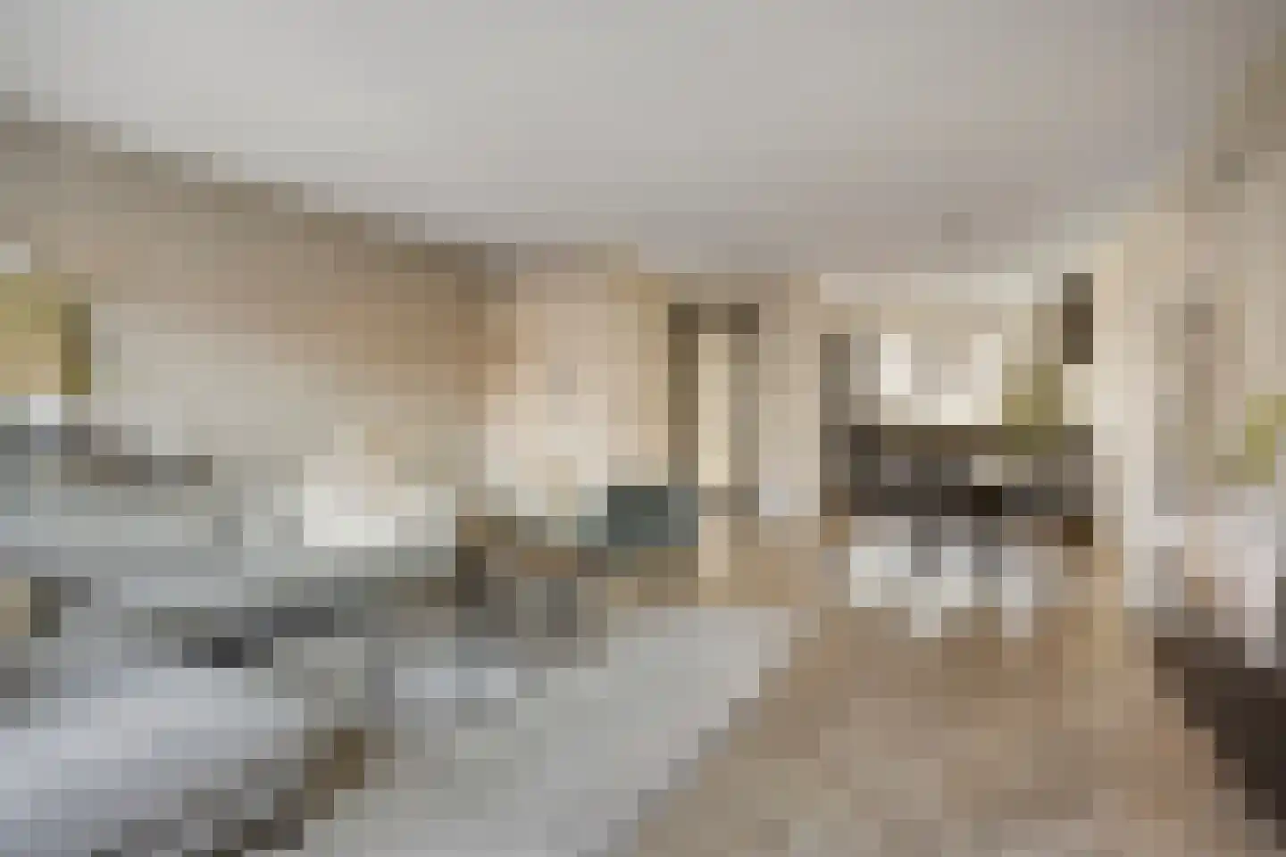 Hogenhof 22 Losser thumbnail 12