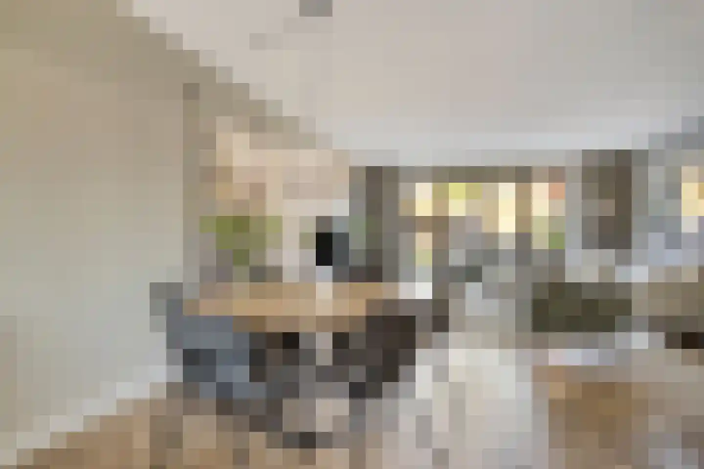Hogenhof 22 Losser thumbnail 13