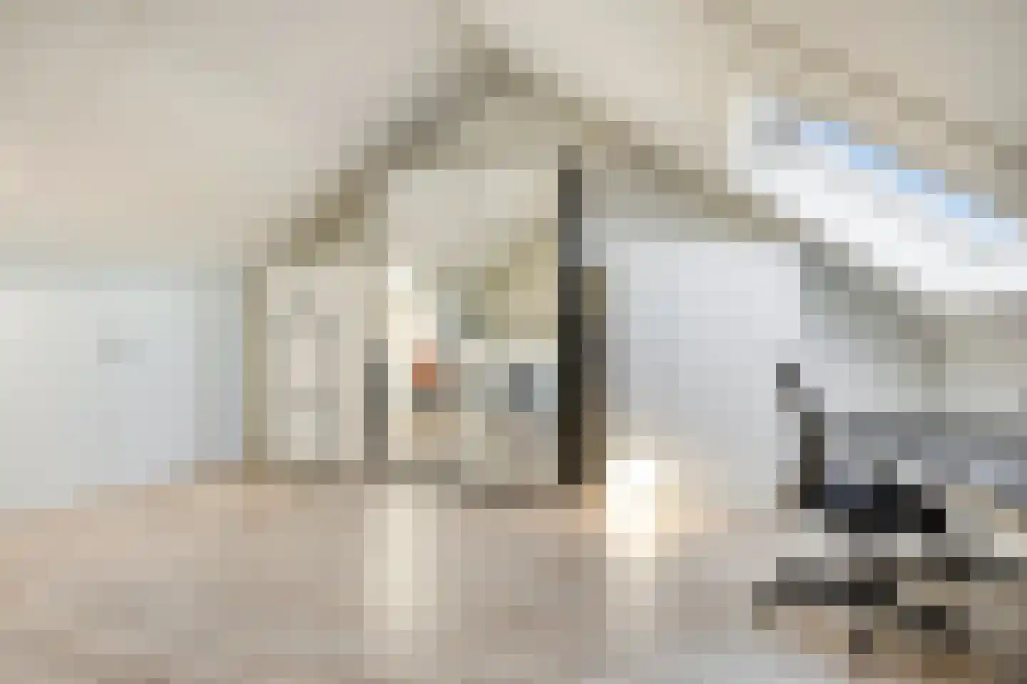 Hogenhof 22 Losser thumbnail 26