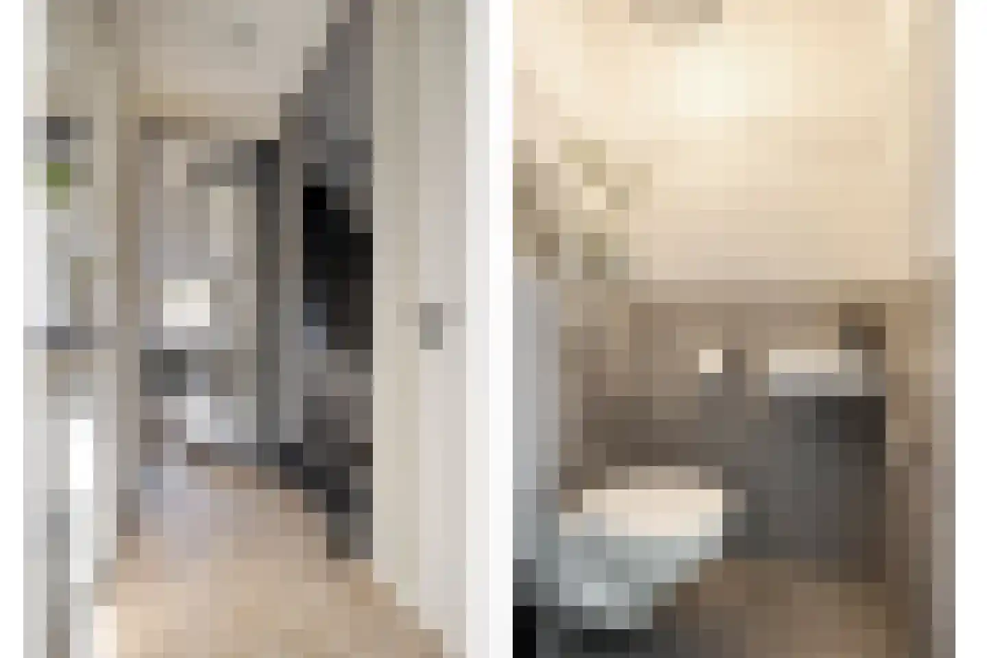 Hogenhof 22 Losser thumbnail 6