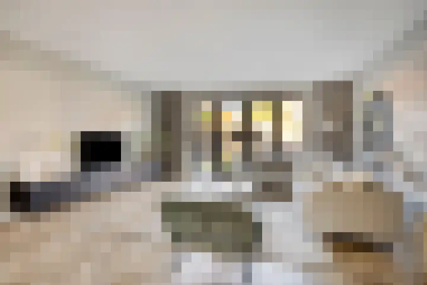Hogenhof 22 Losser thumbnail 9