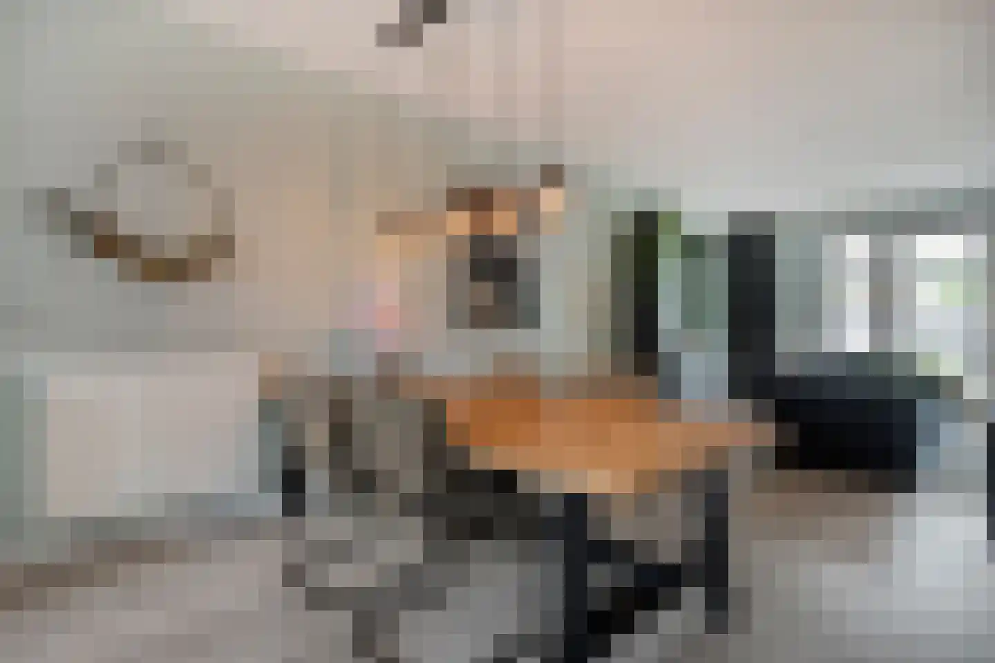 Hogenhof 26 Losser thumbnail 15