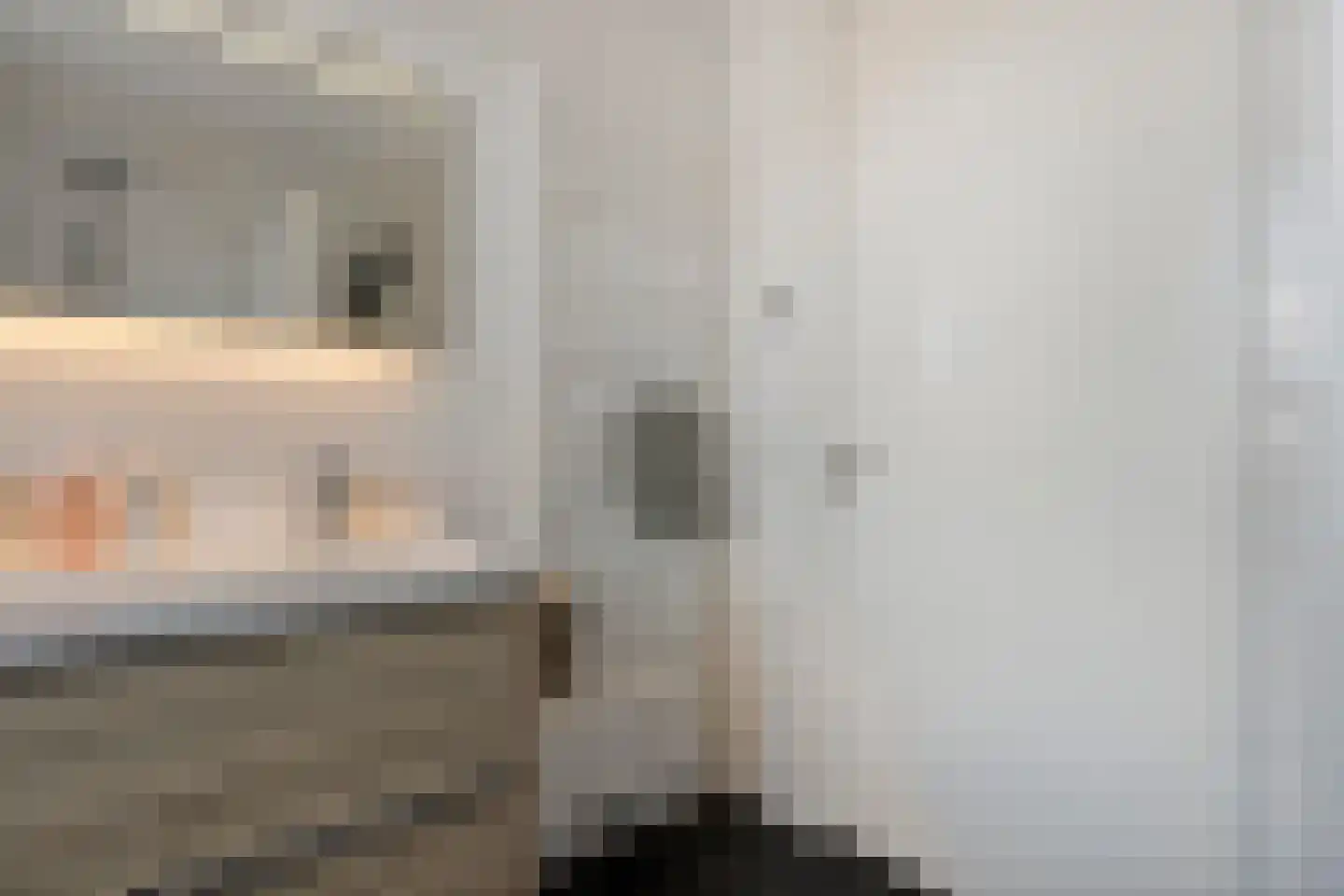 Hogenhof 26 Losser thumbnail 35