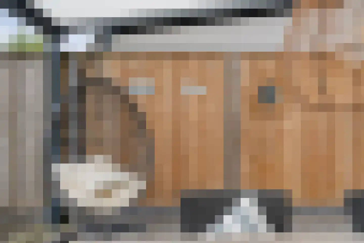 Hogenhof 26 Losser thumbnail 45