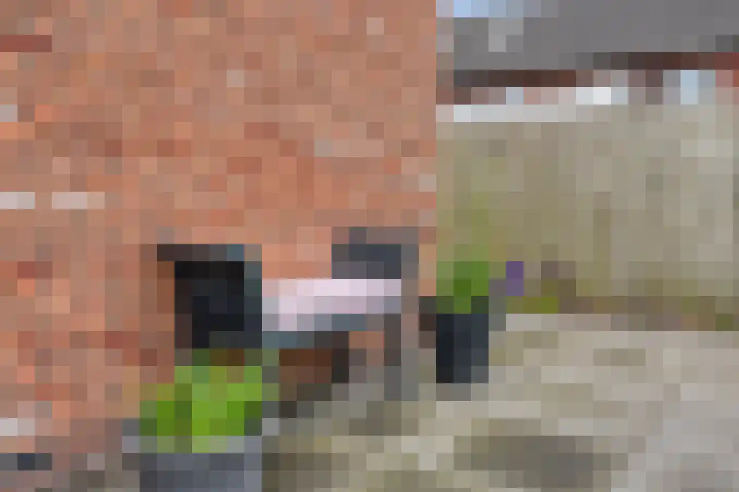 Hogenhof 26 Losser thumbnail 47