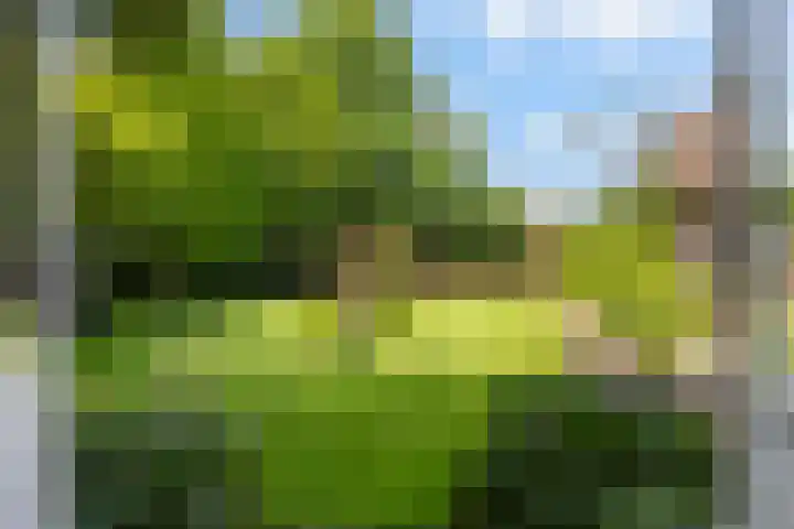 Hogenhof 37 Nijkerk thumbnail 10