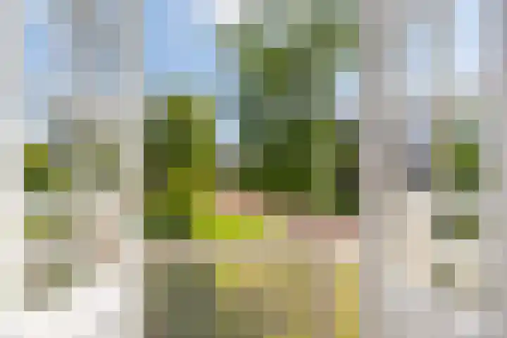 Hogenhof 37 Nijkerk thumbnail 28